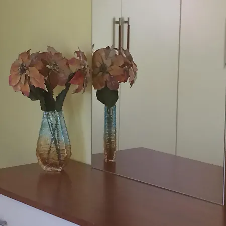 Friends House * ティラナ